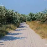 Pensiunea Turistica Visconti Penzion