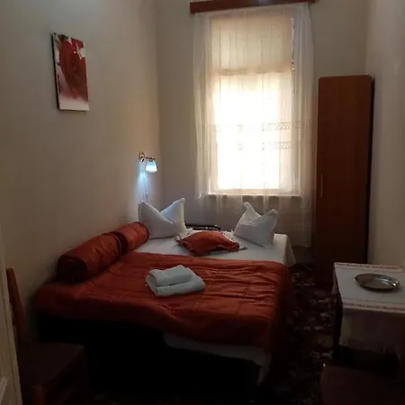 게스트하우스 Pensiunea Turistica Visconti 2*