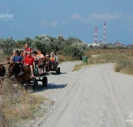 Гостевой дом Pensiunea Turistica Visconti 2*