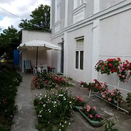 Guest house Pensiunea Turistica Visconti