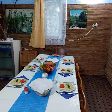 Pensiunea Turistica Visconti Guest house