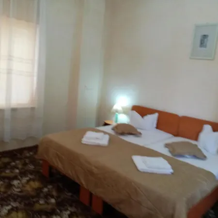 Guest house Pensiunea Turistica Visconti 2*
