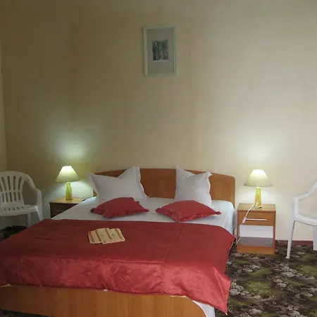 Guest house Pensiunea Turistica Visconti 2*