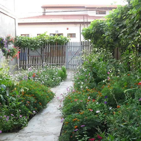 Pensiunea Turistica Visconti Гостевой дом 2*