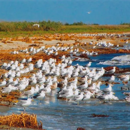 Гостевой дом Pensiunea Turistica Visconti 2*