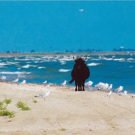 Pensiunea Turistica Visconti Сфынту-Георге